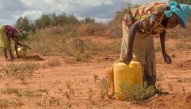Le Maroc et la Banque mondiale lancent le premier fonds d'investissement vert dédié à l'Afrique