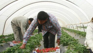 Dérèglement climatique. La région Souss Massa fortement impactée