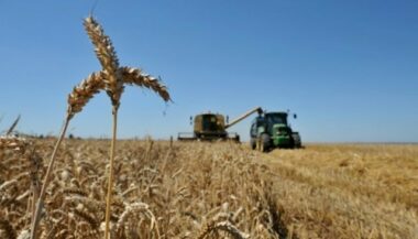 L'agriculture, une solution au réchauffement climatique