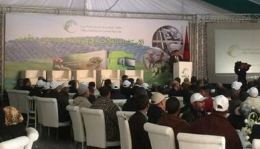 Conseil agricole. La caravane de l’ONCA atterrit à Ksar El Kébir