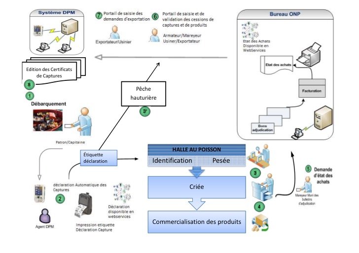 Pêche illicite. Des professionnels du secteur interpellent le gouvernement