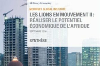 Economies africaines: les pistes pour s’en  sortir, selon McKinsey Global Institute