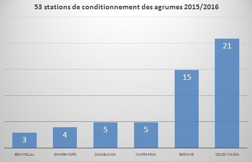 Agrumes. Ce que valent réellement les stations de conditionnement existantes