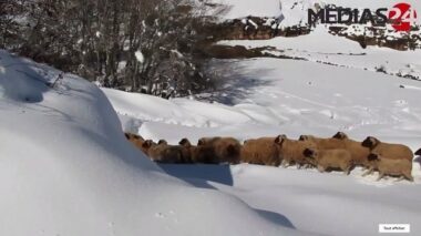 Vidéo. Un habitant d'Ain Leuh raconte la dureté de l'hiver