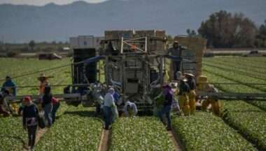 En Californie, angoisse, larmes et prières chez les immigrés