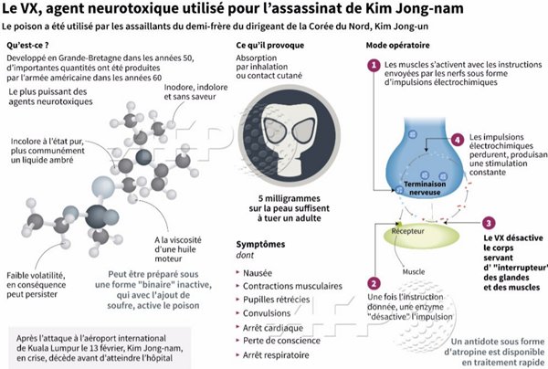 Mort de Kim Jong-Nam: les deux suspectes disent avoir été piégées