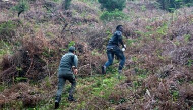 Maroc: 300 migrants ont forcé la frontière à Sebta