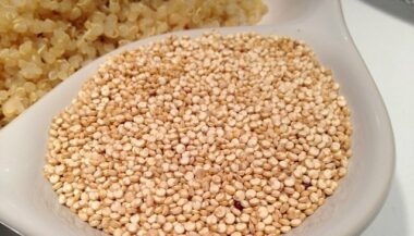 La culture du quinoa bientôt introduite dans la région de Fès-Meknes