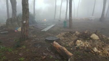 Une pétition contre le déboisement de la forêt Donabo à Tanger