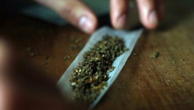 Résine de cannabis: Les saisies signalées au Maroc ont rebondi à 235 T en 2015