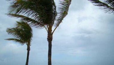 Alerte météo. Rafale de vent jusqu'à 90 km/h vendredi et samedi au Maroc