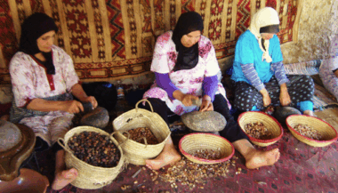 FAO et Berd: les coopératives agricoles marocaines ont un grand potentiel dans les maraîchages