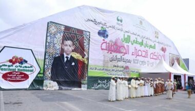 A Larache, les fruits rouges ont leur festival