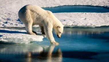 Climat: l'ONU lance une alerte sur les phénomènes extrêmes en 2017