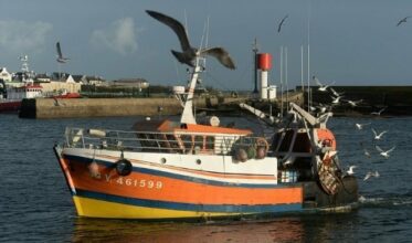Un plan européen pour &ldquo;sauver&rdquo; les stocks de poissons en Méditerranée