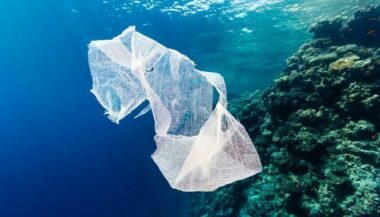 Dell recycle le plastique issu des océans pour emballer ses derniers ordinateurs
