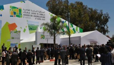 Le Siam 2017, du 18 au 23 avril à Meknès