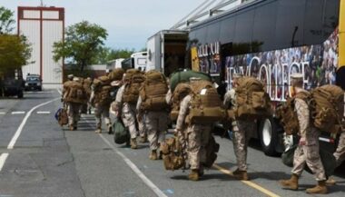 Début des préparatifs pour l’édition 2017 de l’African Lion