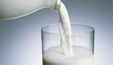 Akhannouch: la production de lait a doublé en dix ans