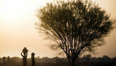 Soudan du Sud: la faim pousse les gens à manger des feuilles