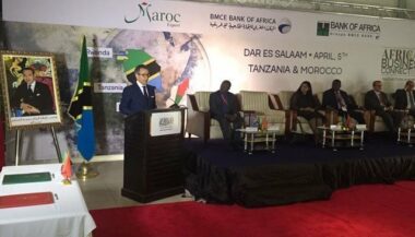 L'African Business Connect se poursuit en Tanzanie
