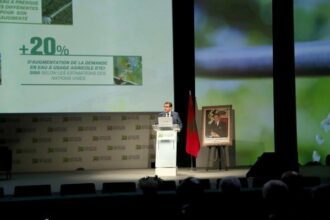 Céréaliculture. La production  atteindra le record des 102 millions de quintaux, selon Akhannouch