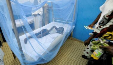 Afrique: premier test à grande échelle pour un vaccin antipaludique