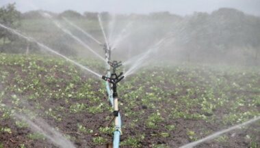 Les contrats de nappe... ou comment des agriculteurs coexploitent les eaux souterraines