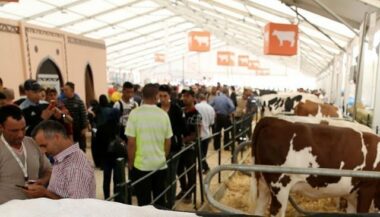 Siam 2017: 810.000 visiteurs et 1.230 exposants