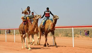 Le plus long camélodrome d'Afrique inauguré à Tan Tan
