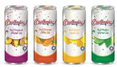 &ldquo;Oulmès Bulles Fruitées&rdquo; le pari estival d'Oulmès