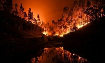 Au moins 57 morts dans un violent feu de forêt au Portugal