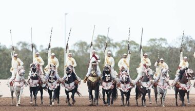 Le Qatar à l'honneur de la 10e édition du Salon du cheval