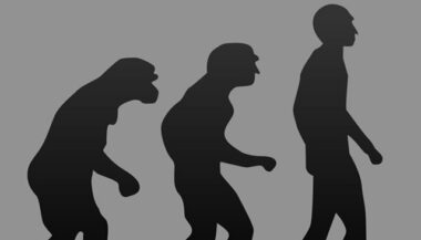 La Turquie retire Darwin de ses manuels scolaires