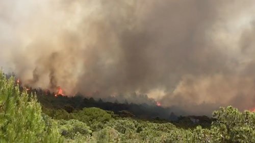 Images. Un immense incendie ravage la forêt Mediouna à Tanger