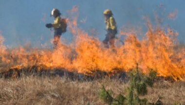 Tanger. Les efforts se poursuivent pour maîtriser l'incendie ayant ravagé environ 165 ha de forêt