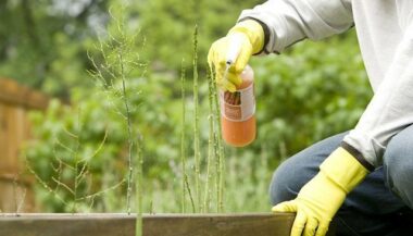 Les pesticides, responsables de 48,6% des décès par intoxication au Maroc