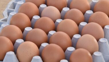 L’Onssa rassure les Marocains sur la qualité et la salubrité des œufs de consommation