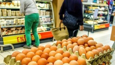 Oeufs contaminés au Fipronil: la France publie une nouvelle liste de produits retirés du marché