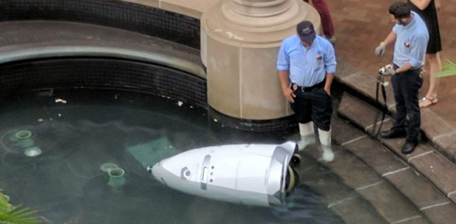 Les robots de sécurité à la mode malgré le &ldquo;suicide&rdquo; de l'un d'eux