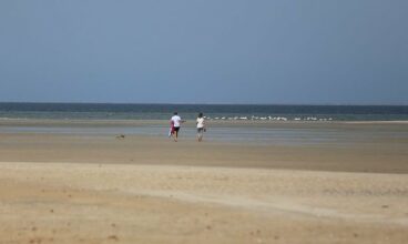 Transavia va lancer une ligne directe Paris-Dakhla