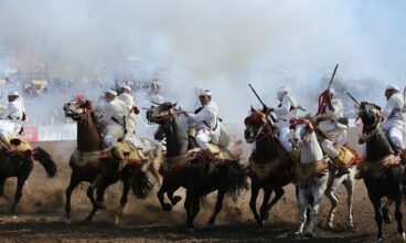 Le Salon du cheval fêtera ses dix ans en octobre à El Jadida