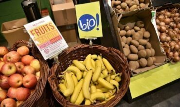 Agriculture bio: c'est beau, c'est bon, mais c'est difficile aussi