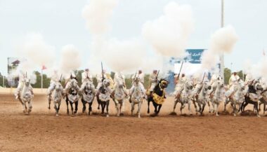 En images, les moments forts du 10e Salon du cheval d'El jadida