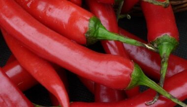Béni Mellal-Khénifra: 28.000 t de piment rouge produites en une année