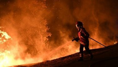 Les incendies au Portugal provoquent un remaniement ministériel
