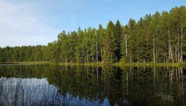 Plus de 34 MDH pour l’entretien de 4 forêts à Tanger