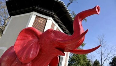 Le concept &ldquo;Funny zoo&rdquo; débarque à Casablanca