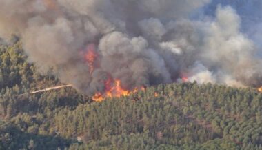 182,7 MDH pour lutter contre les feux de forêts en 2018