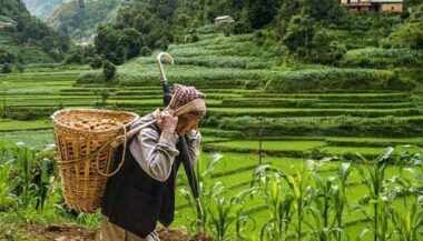 Rapport. Près de 82% de la population africaine sans protection sociale